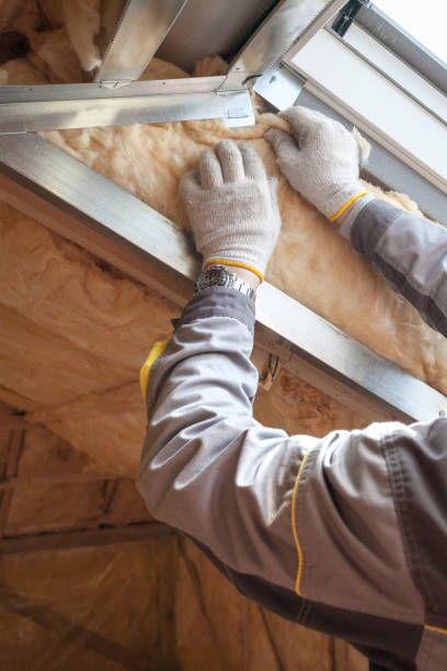 Best Geographic-Specific Insulation Services in Kemmerer, WY