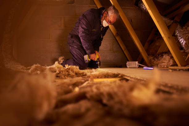 Best Eco-Friendly Insulation in Kemmerer, WY